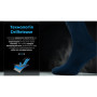 Водонепроницаемые носки DexShell Ultra Thin Crew,DS683NL