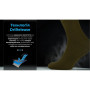 Водонепроницаемые носки DexShell Ultra Thin Crew, DS683OG