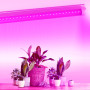 LED FITO светильник линейный VIDEX T8 0,6М 10W
