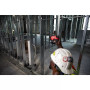 Линейно-точечный лазерный нивелир Milwaukee M12 CLLP-0C 4933478101 с зелёным лучом