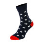 Носки The Pair of Socks Night Star