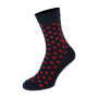Носки The Pair of Socks Senator